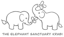 The Elephant Sanctuary
