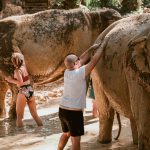 krabi elephant sanctuary tour