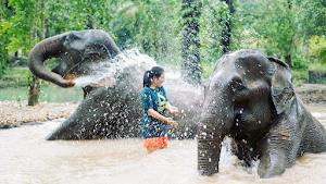The Elephant Sanctuary Krabi Thailand