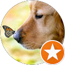 Silvia Lenoci Silvia Lenoci